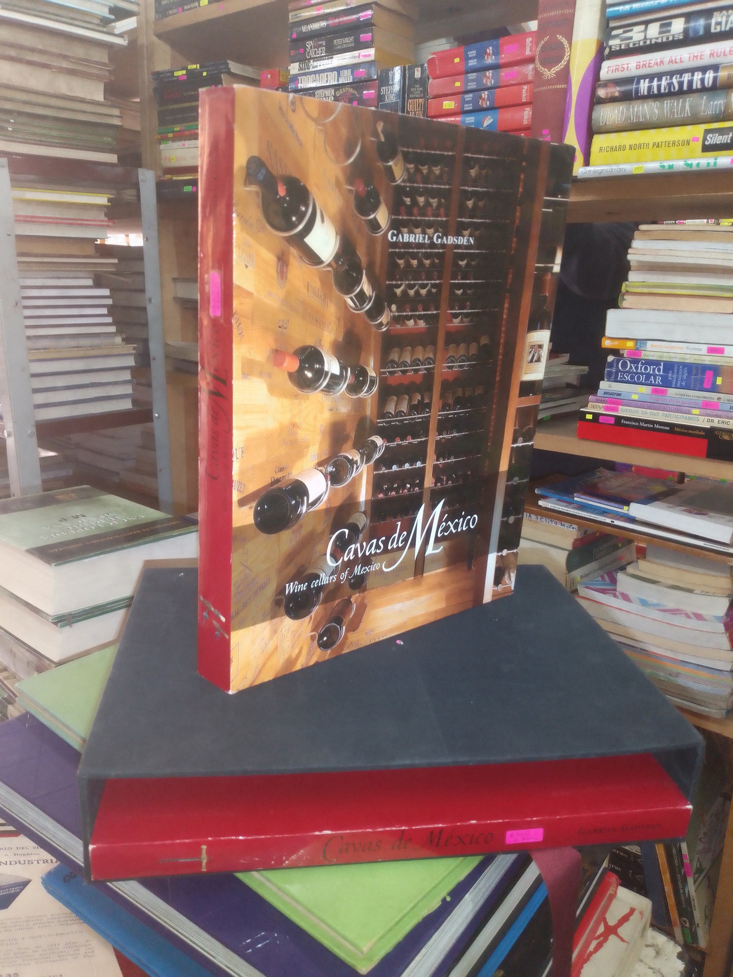CAVAS DE MÉXICO POR GABRIEL GADSDEN (2 TOMOS X $300) USADO ARTE LITERARIO 207