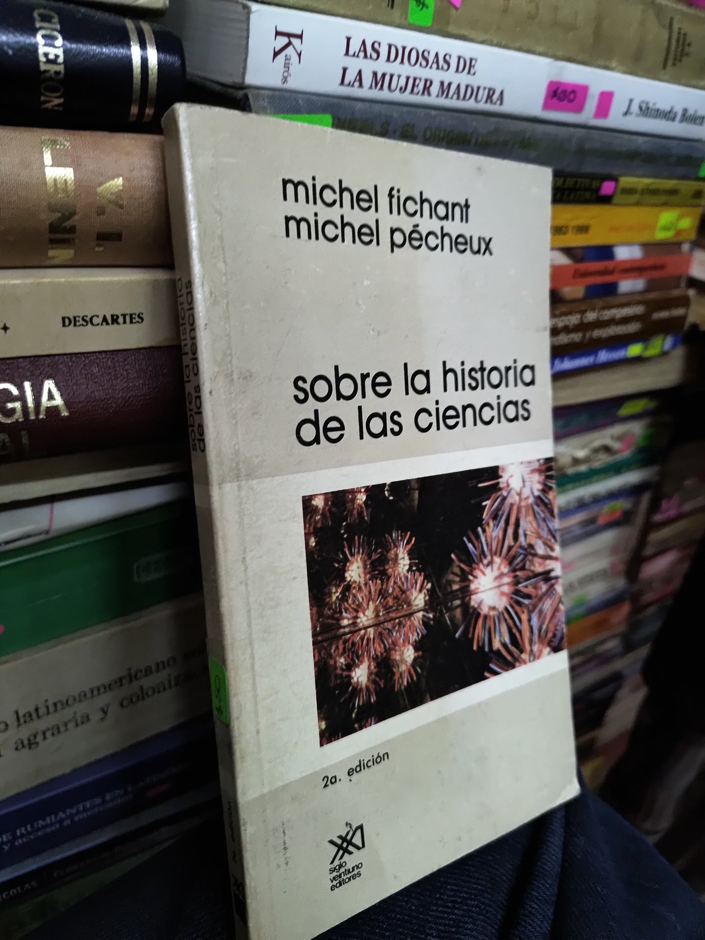 SOBRE LA HISTORIA DE LAS CIENCIAS POR MICHEL FICHANT USADO HISTORIA LITERARIO 207