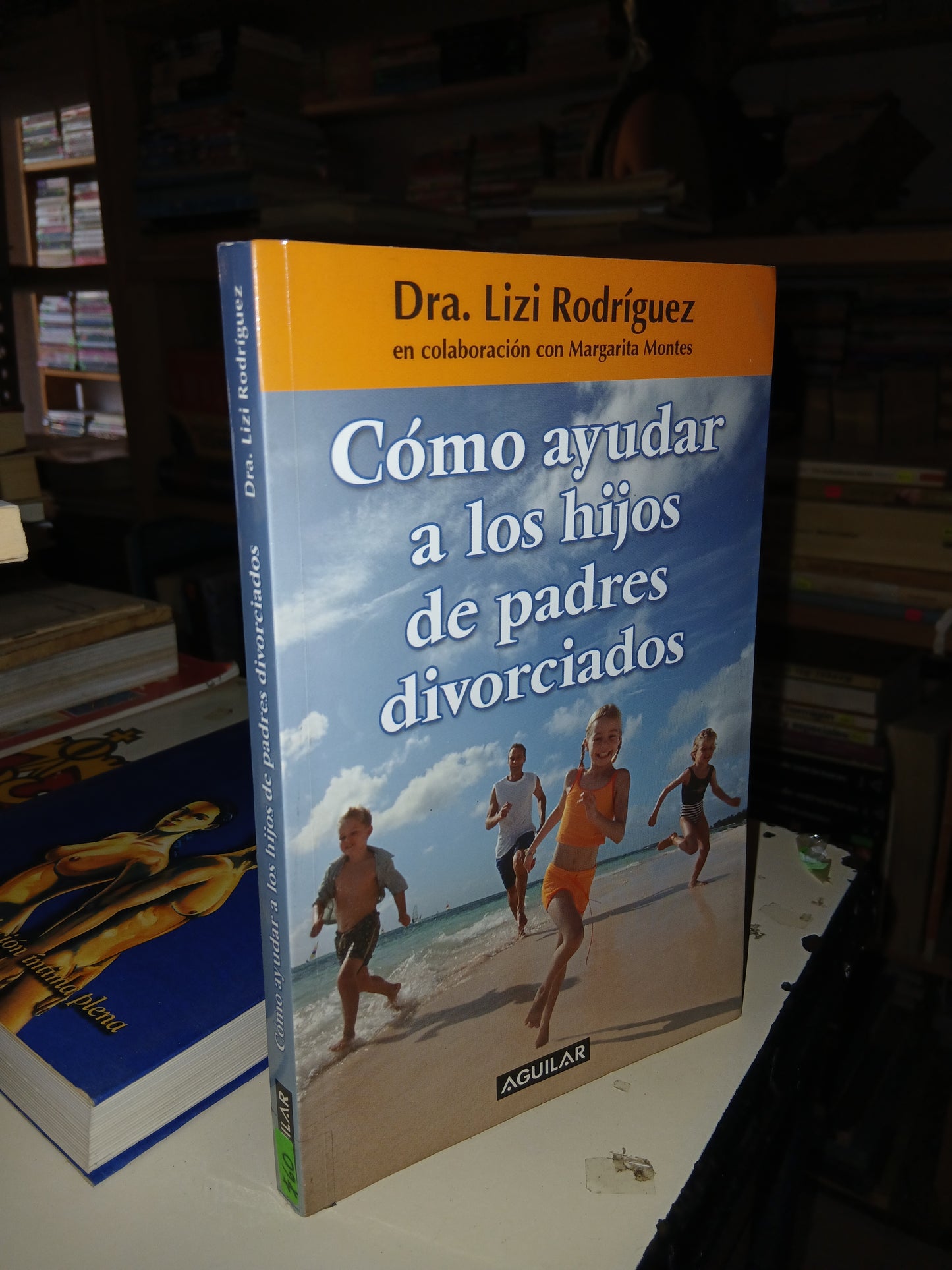CÓMO AYUDAR A LOS HIJOS DE PADRES DIVORCIADOS POR LIZI RODRÍGUEZ USADO SUPERACIÓN PERSONAL LITERARIO 207