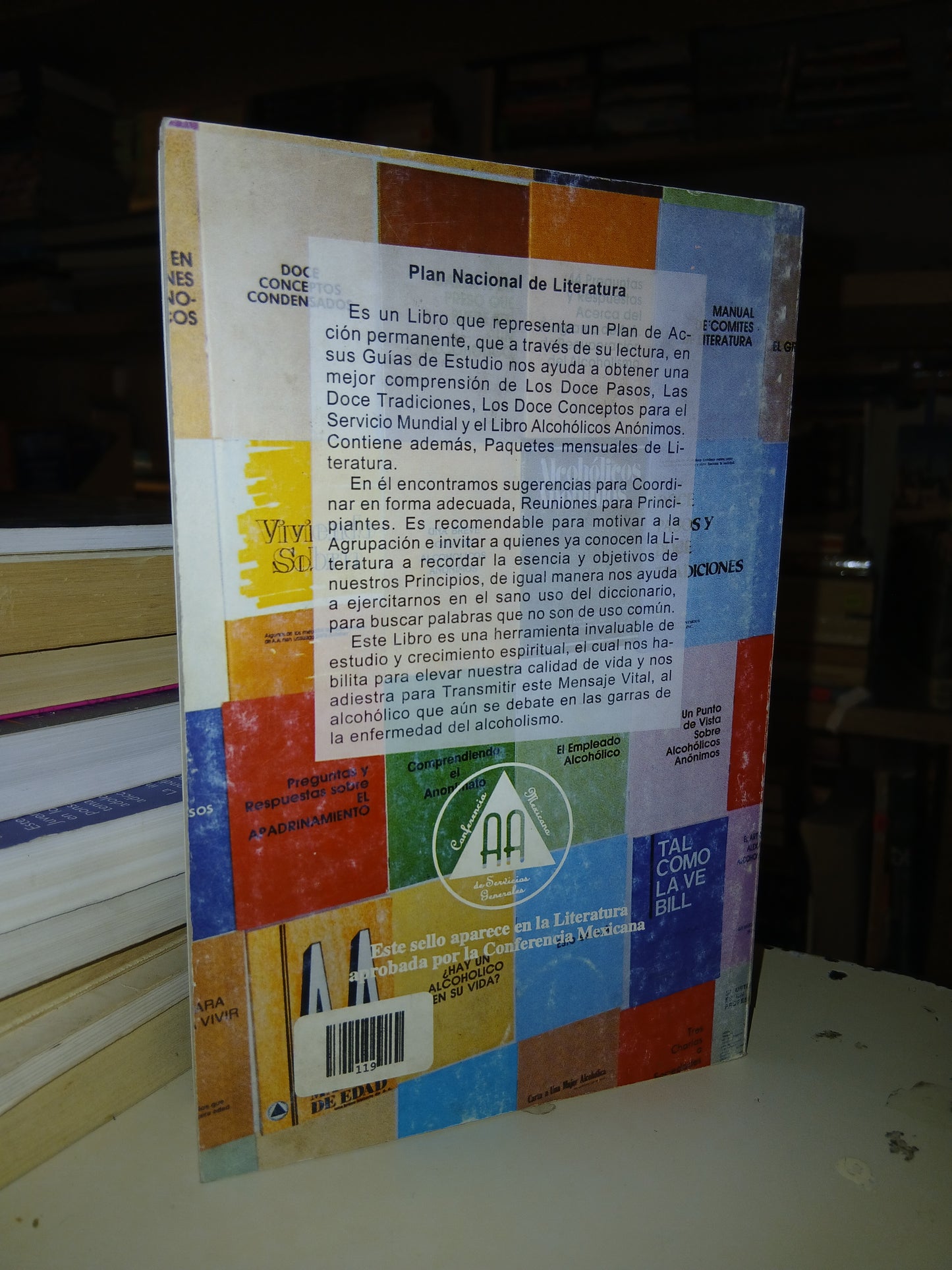 PLAN NACIONAL DE LITERATURA (AA) USADO SUPERACIÓN PERSONAL LITERARIO 207