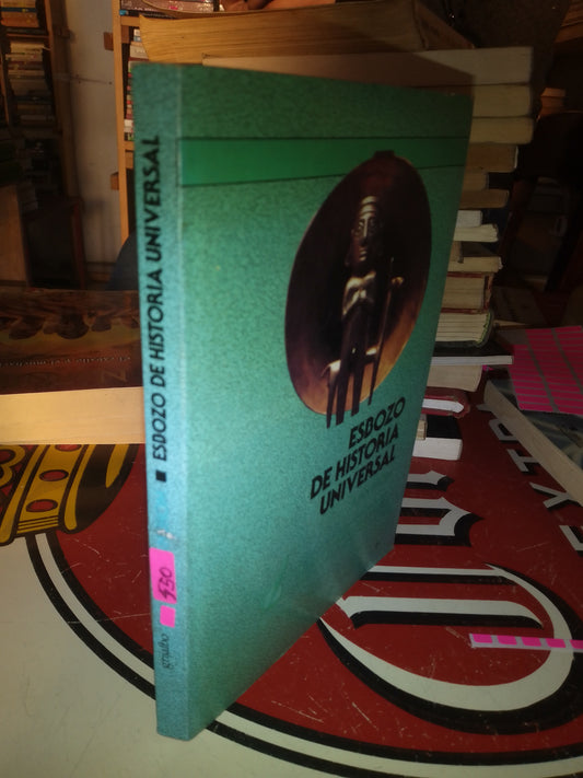 ESBOZO DE HISTORIA UNIVERSAL POR JUAN BROM USADO HISTORIA LITERARIO 207