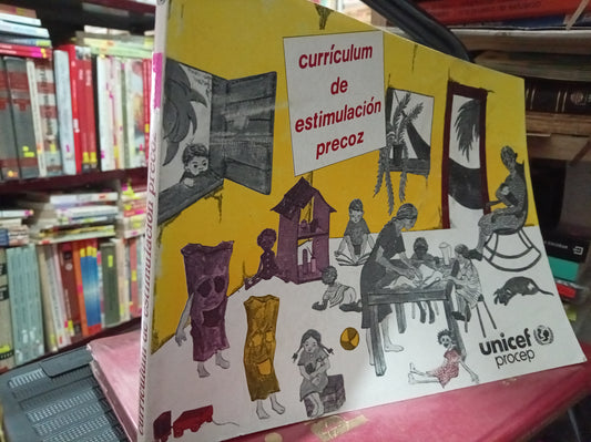 CURRICULUM DE ESTIMULACIÓN PRECOZ USADO PSICO LITERARIO 305