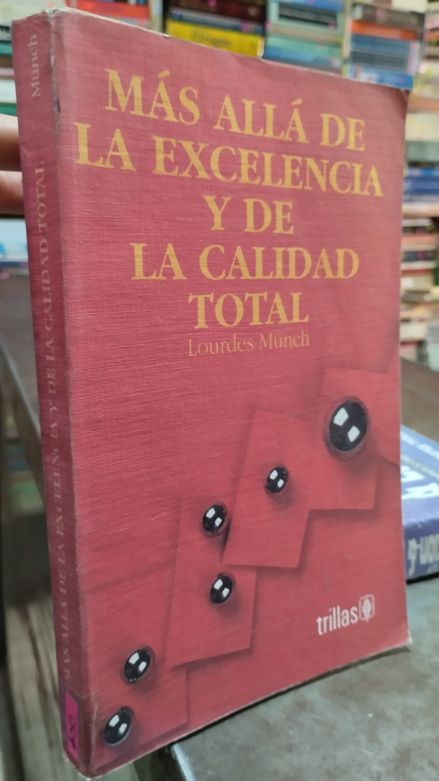 MAS ALLA DE LA EXCELENCIA Y DE CALIDAD TOTAL POR LOURDES MÜNCH LIBRO USADO ADMINISTRACION ALDAMA