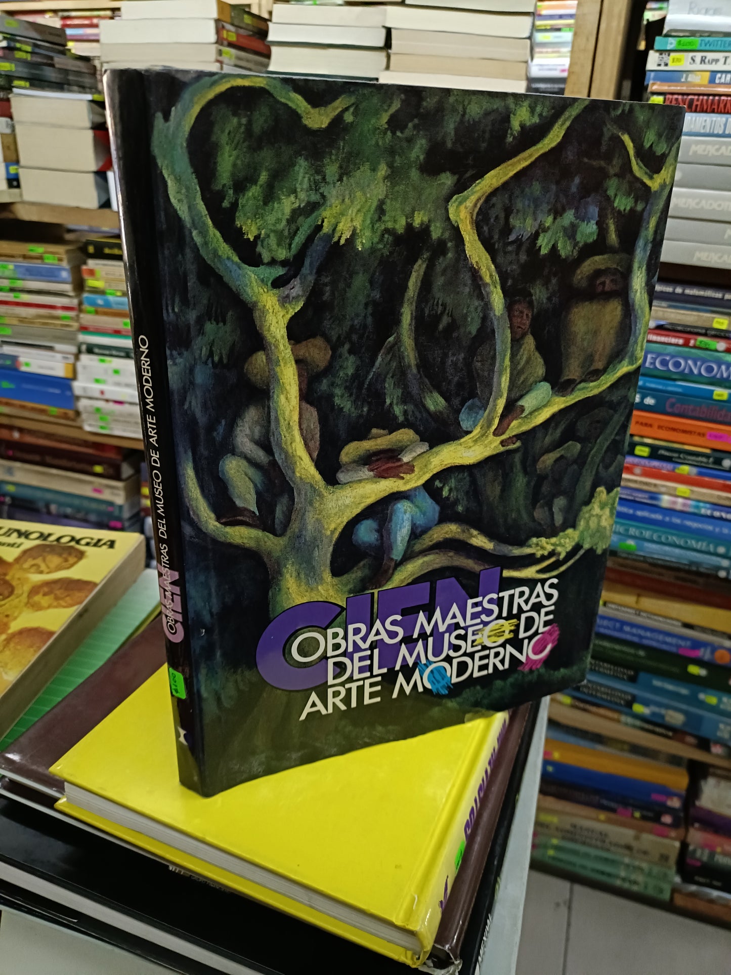 CIEN OBRAS MAESTRAS DEL MUSEO DE ARTE MODERNO USADO ARTE LITERARIO 207