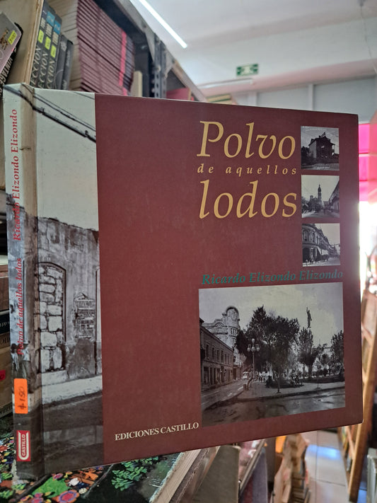 POLVO DE AQUELLOS LODOS RICARDO ELIZONDO ELIZONDO USADO HISTORIA LITERARIO 305