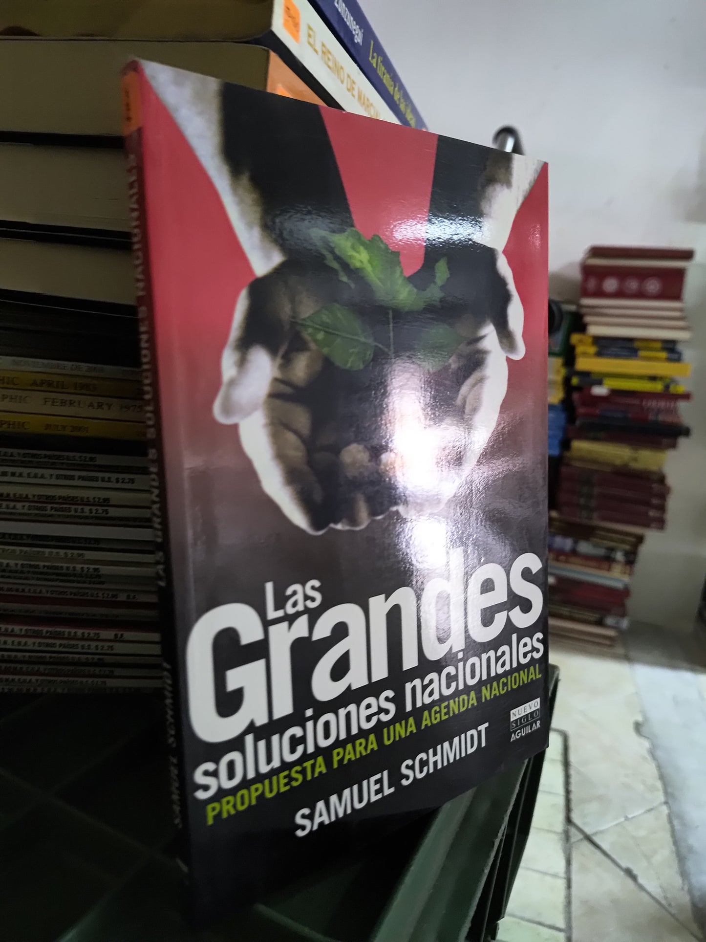 LAS GRANDES SOLUCIONES NACIONALES POR SAMUEL SCHMIDT USADO POLITICA JUAREZ 515