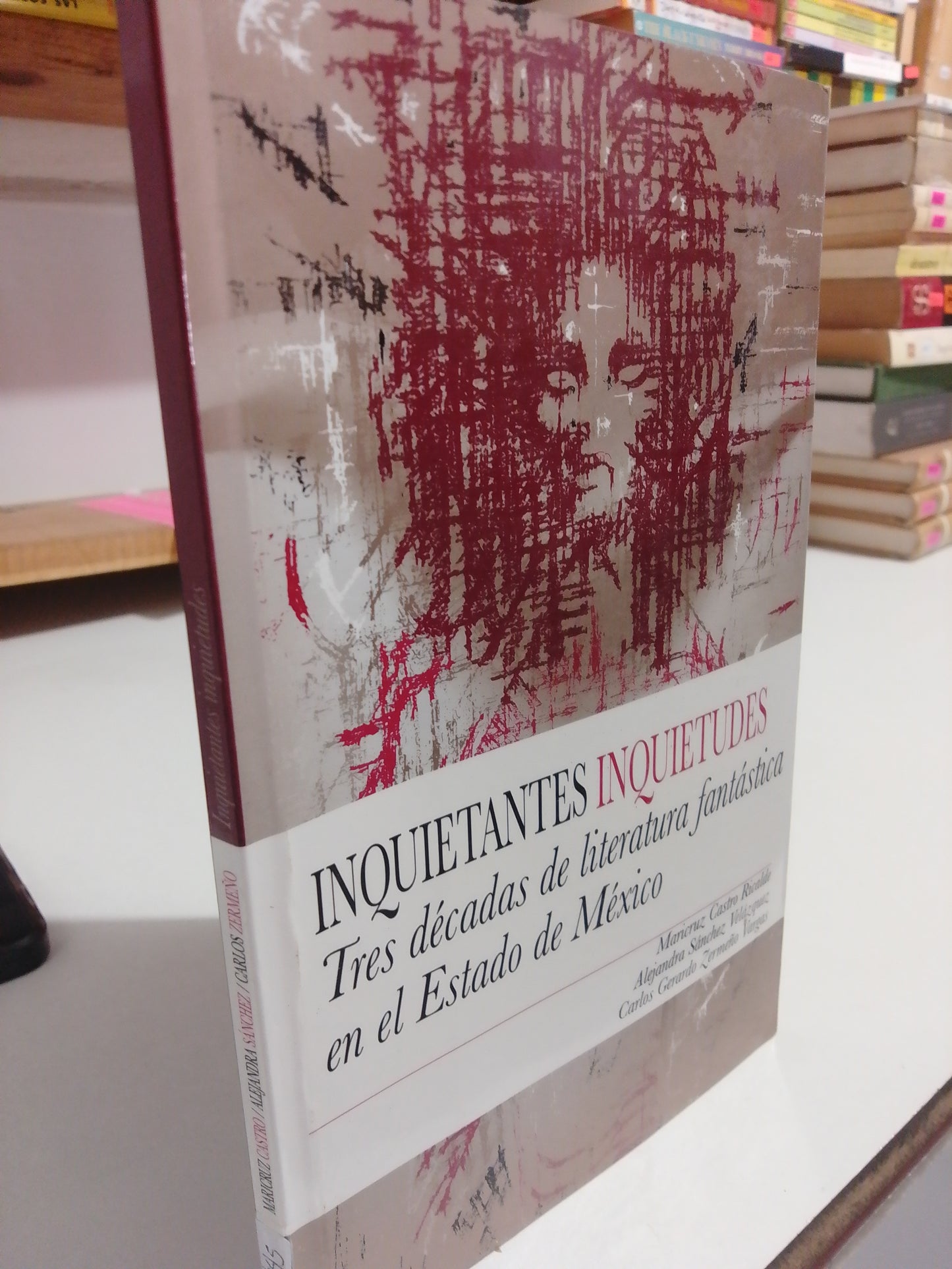 INQUIETANTES INQUIETUDES POR MARICRUZ CASTRO USADO HISTORIA JUAREZ