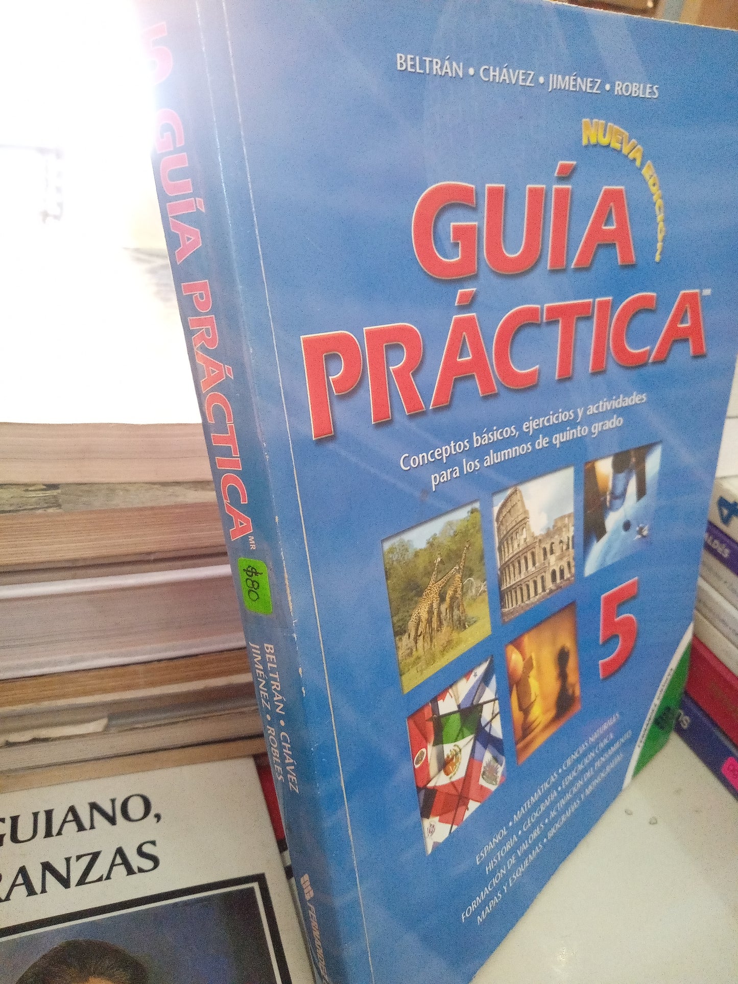 GUIA PRÁCTICA 5 POR BELTRAN USADO EDUCACION LITERARIO 207