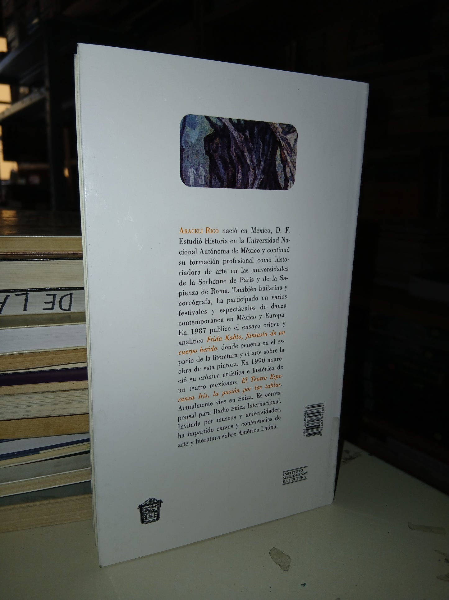 TRONCO SIN RAMAS POR ARACELI RICO USADO NOVELA LITERARIO 207