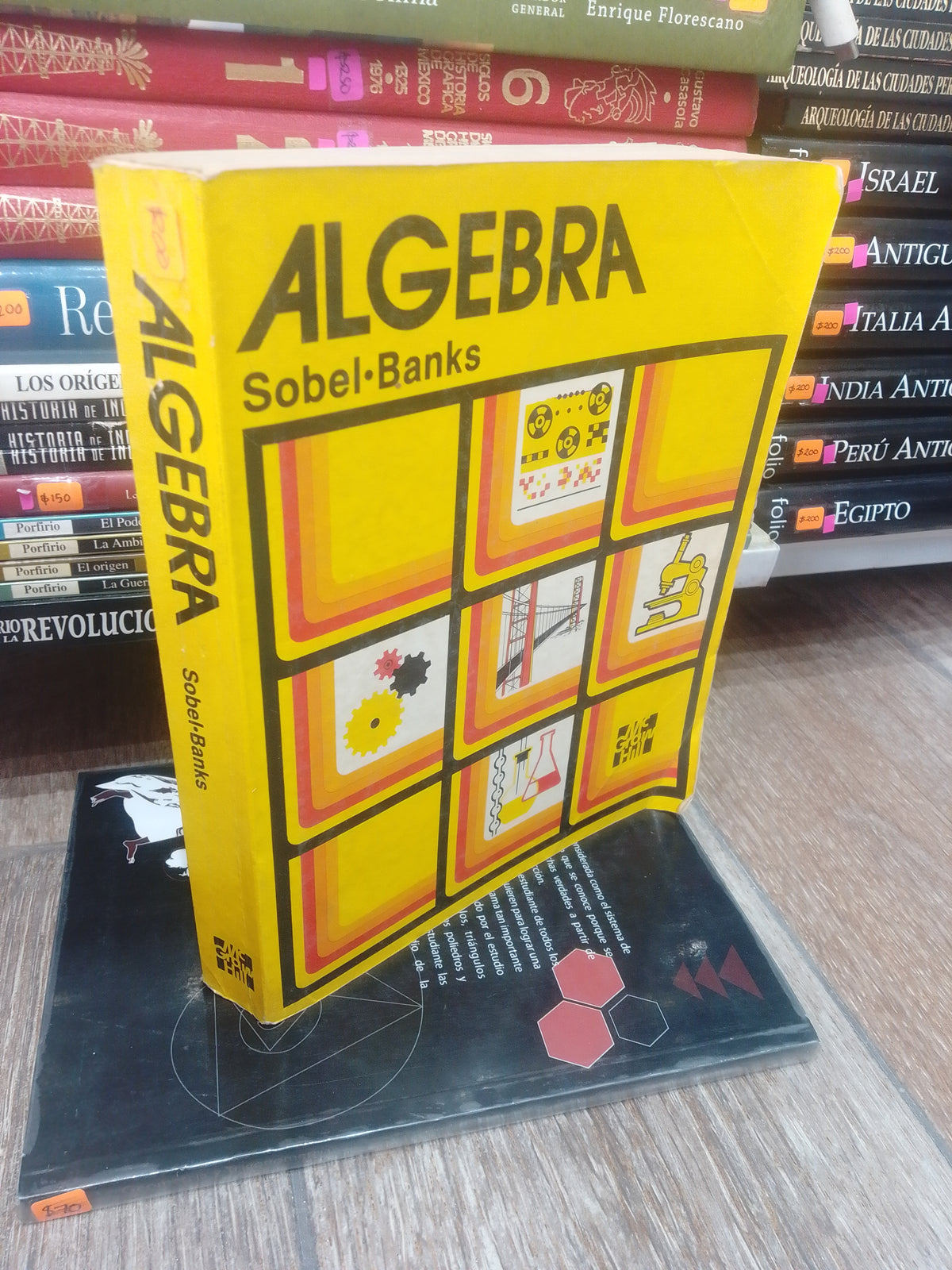 ALGEBRA POR MAX SOBEL USADO MATEMATICAS JUAREZ 515