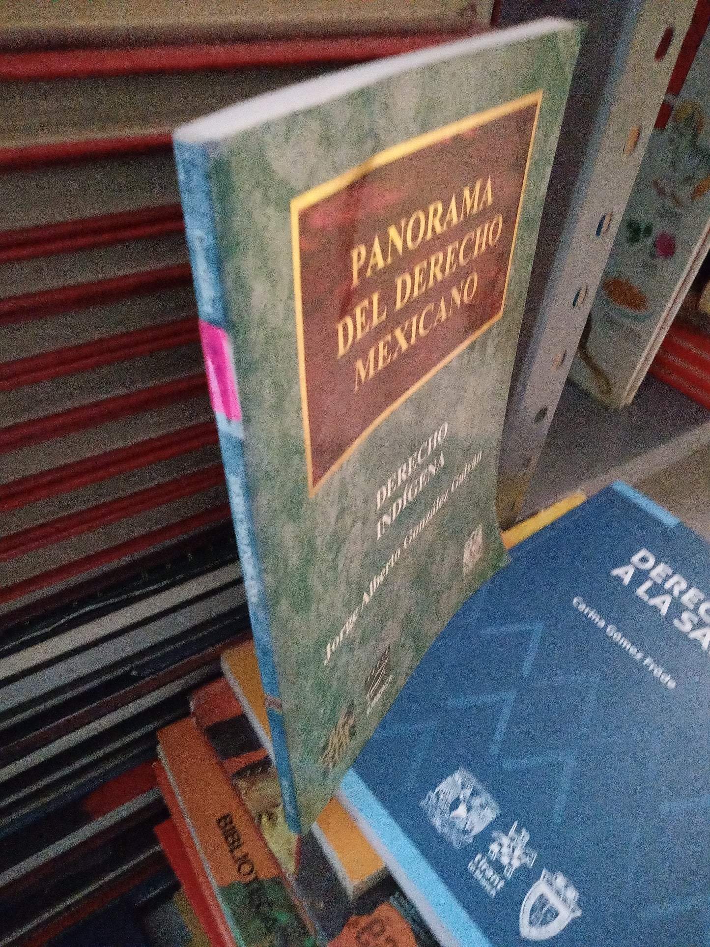 PARANOMA DEL DERECHO MÉXICANO DERECHO INDIGENA POR JORGE ALBERTO GONZALEZ GALVAN USADO DERECHO JUÁREZ