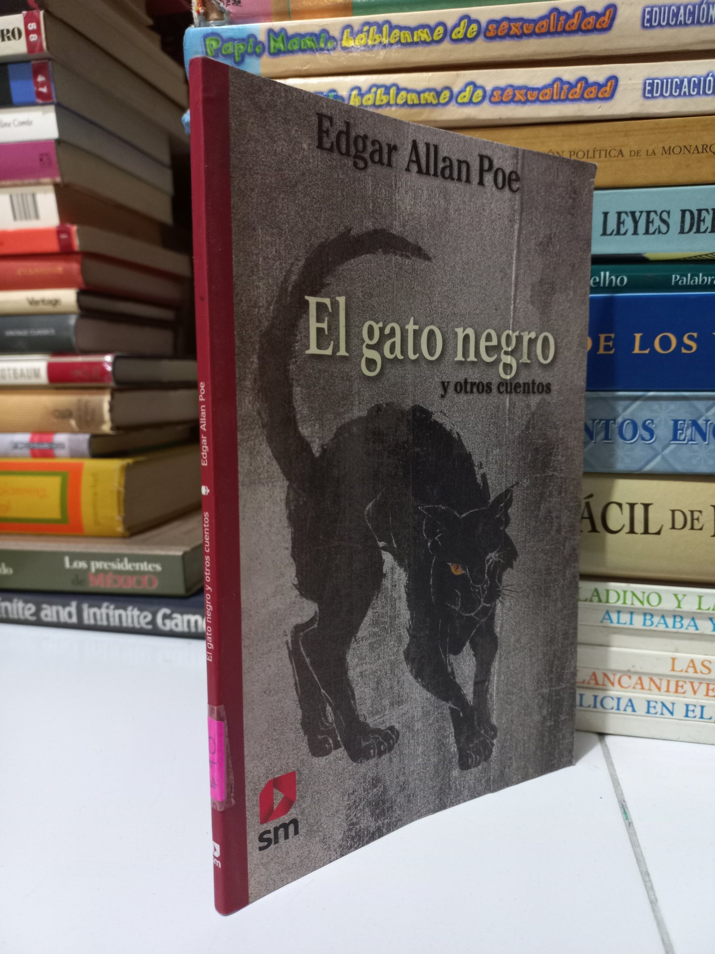 EL GATO NEGRO Y OTROS CUENTOS POR EDGAR ALLAN POE USADO NOVELA JUÁREZ