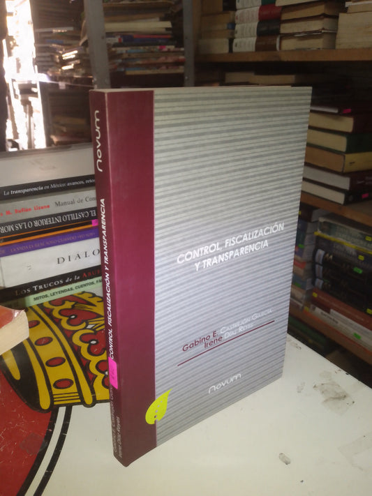 CONTROL, FISCALIZACIÓN Y TRANSPARENCIA POR GABINO E. CASTREJÓN GARCÍA E IRENE DÍAZ REYES USADO POLÍTICA LITERARIO 207