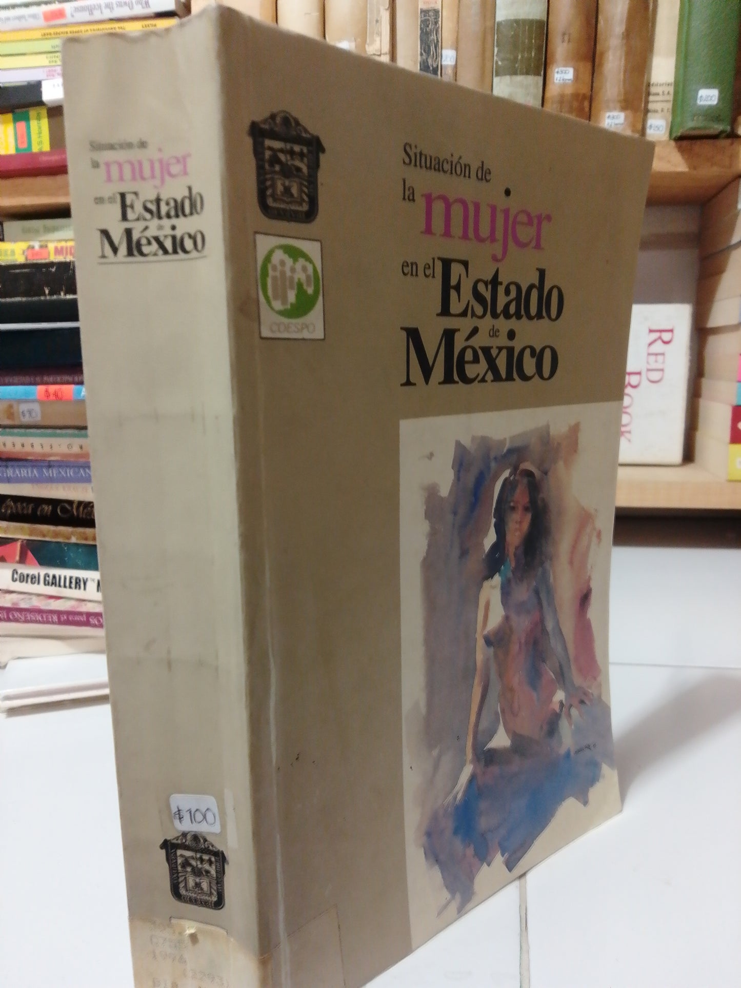 SITUACION DE LA MUJER EN EL ESTADO DE MÉXICO USADO HISTORIA JUAREZ