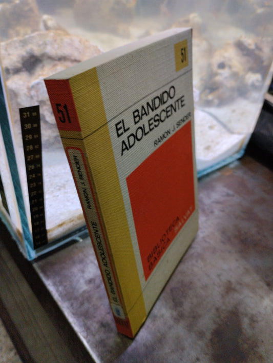 EL BANDIDO ADOLESCENTE POR RAMON J SERDER USADO NOVELAS ALDAMA