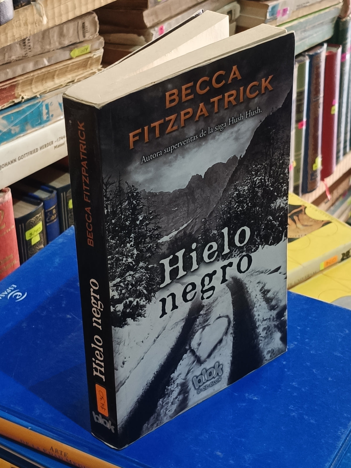 HIELO NEGRO BECCA FITZPATRICK USADO NOVELA LITERARIO 305