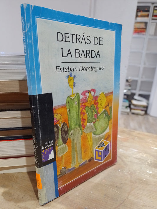 DETRAS DE LA BARDA POR ESTEBAN DOMINGUEZ USADO NOVELA JUAREZ 515