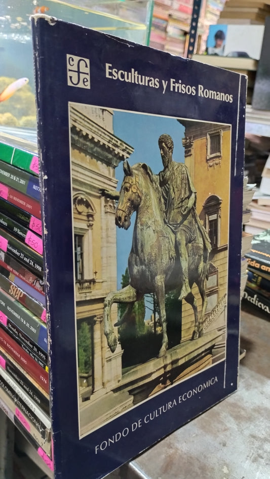 ESCULTURAS Y FRISOS ROMANOS LIBRO USADO ARTE ALDAMA