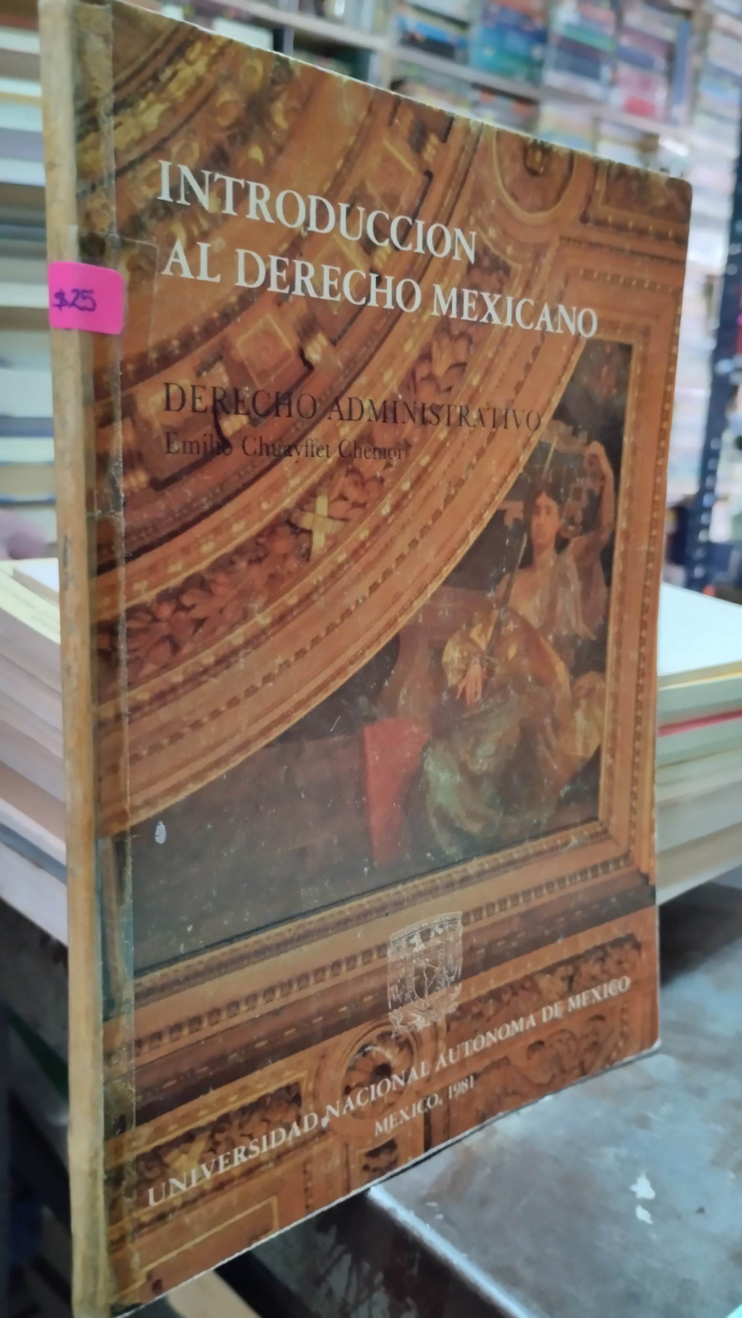 INTRODUCCION AL DERECHO MEXICANO POR EMILIO CHUAYFFET CHEMOR LIBRO USADO DERECHO ALDAMA