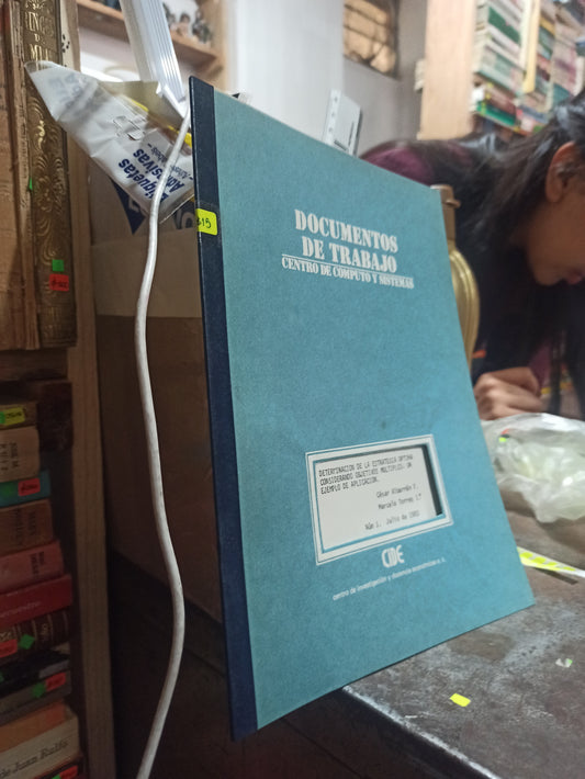 DOCUMENTOS DE TRABAJO CENTRO DE COMPUTO Y SISTEMAS POR EDITORIAL CIDE USADO POLÍTICA ALDAMA
