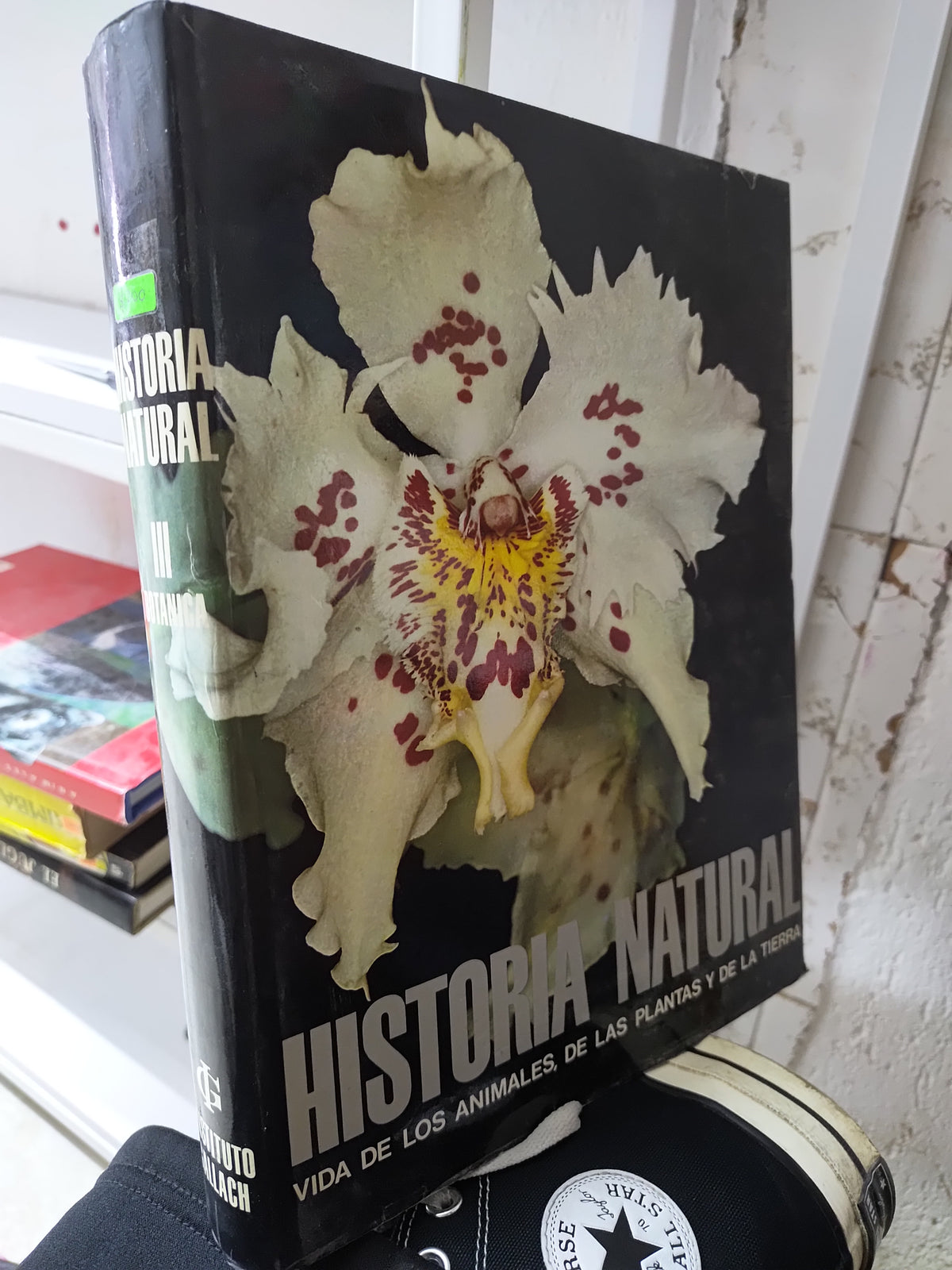 HISTORIA NATURAL 3 POR EDITORIAL GALLACH USADO BIOLOGIA JUAREZ 515
