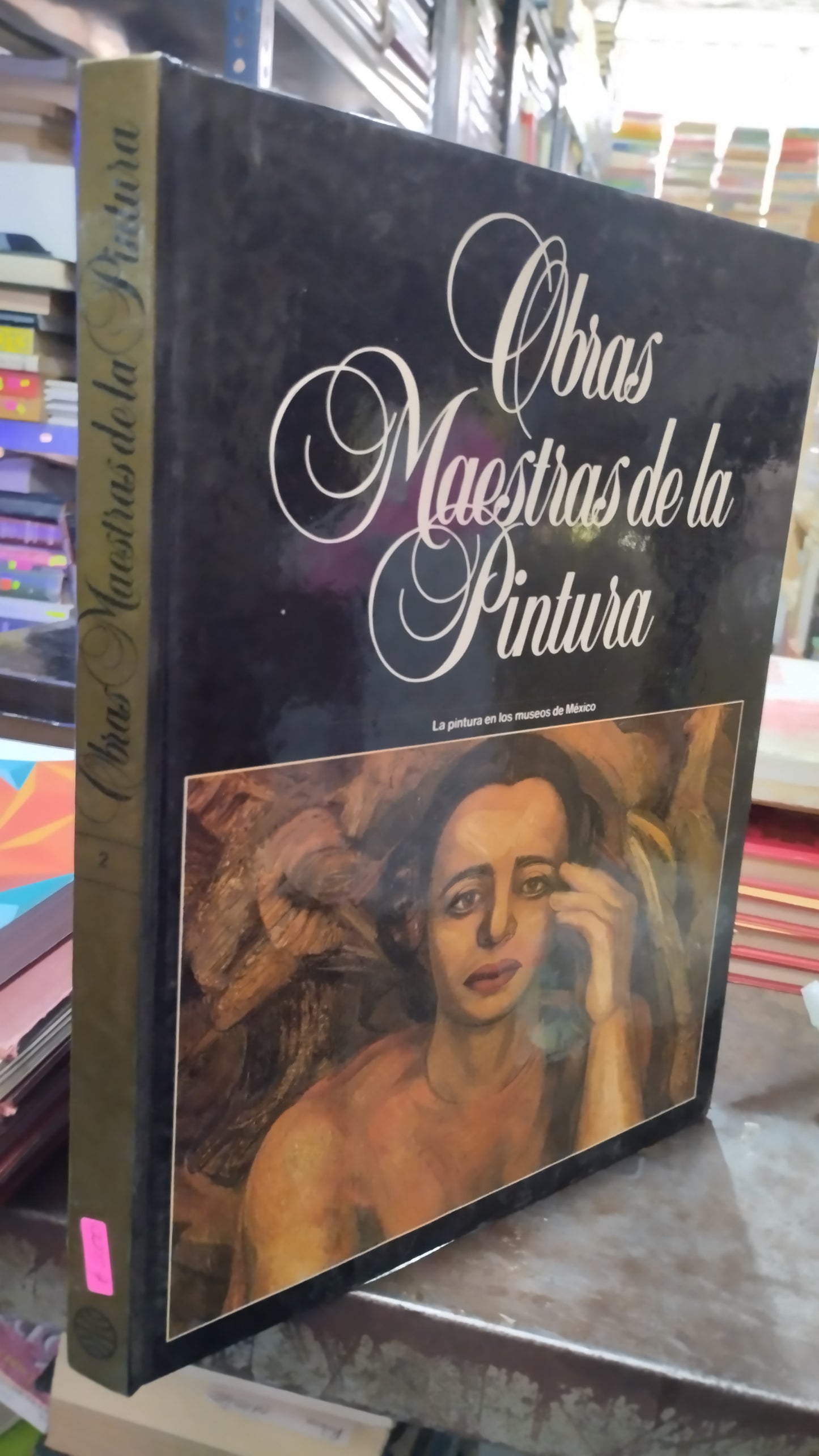 OBRAS MAESTRAS DE LA PINTURA 2 LIBRO USADO ARTE ALDAMA
