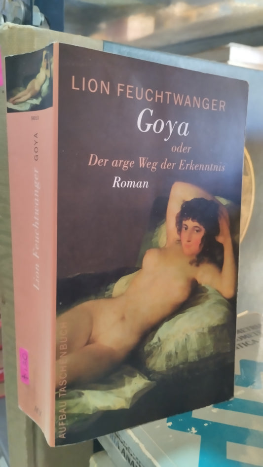 GOYA POR LION FEUCHTWANGER LIBRO USADO NOVELAS ALDAMA