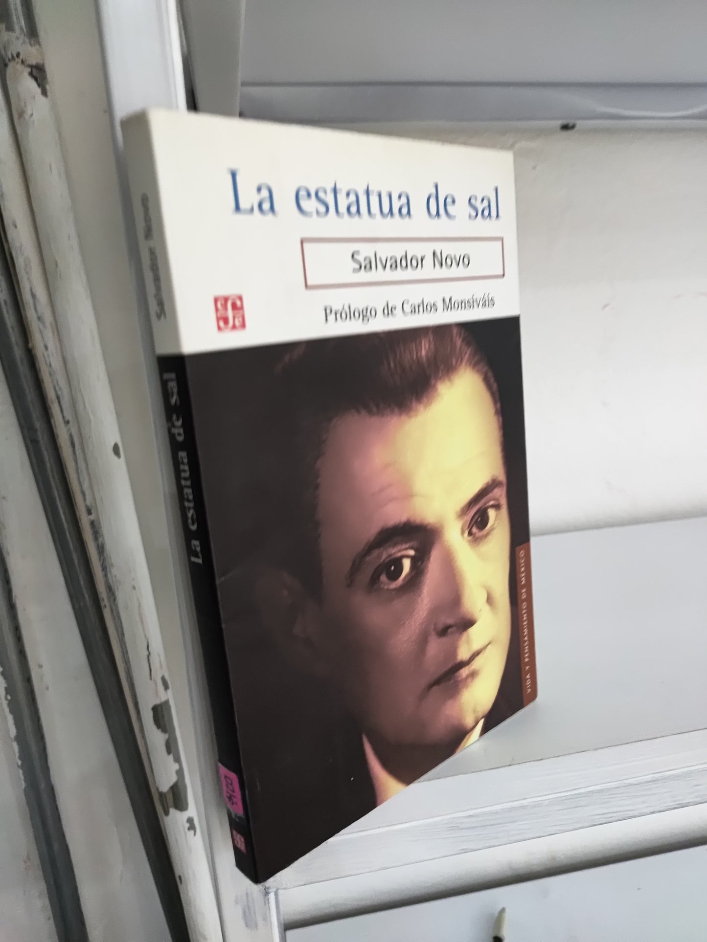LA ESTATUA DE SAL POR SALVADOR DE NOVO USADO NOVELAS JUAREZ 515