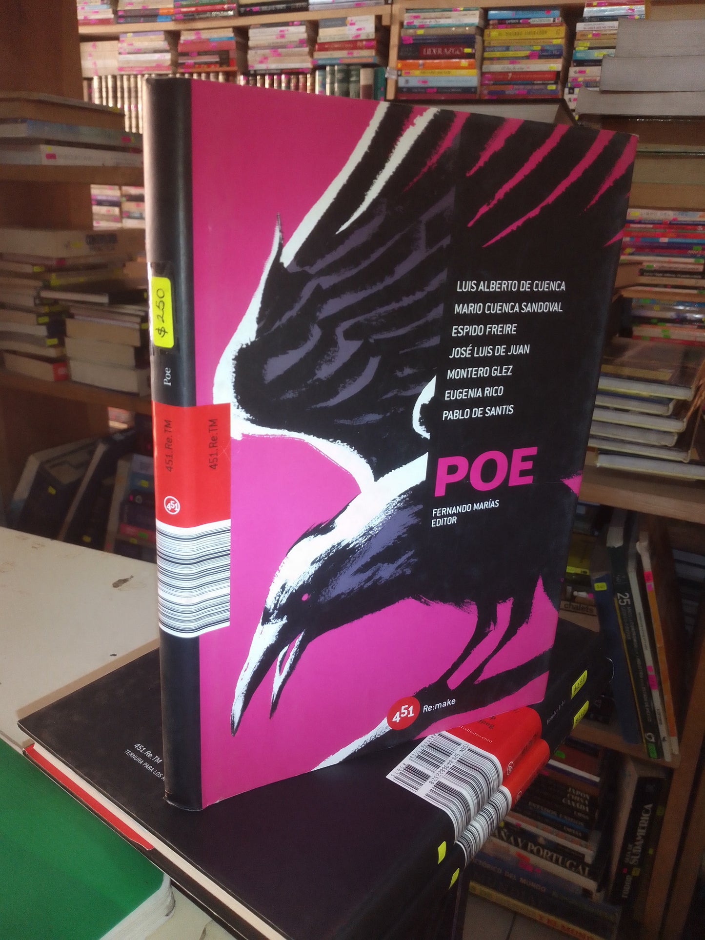 POE POR FERNANDO MARÍAS USADO NOVELA LITERARIO 207