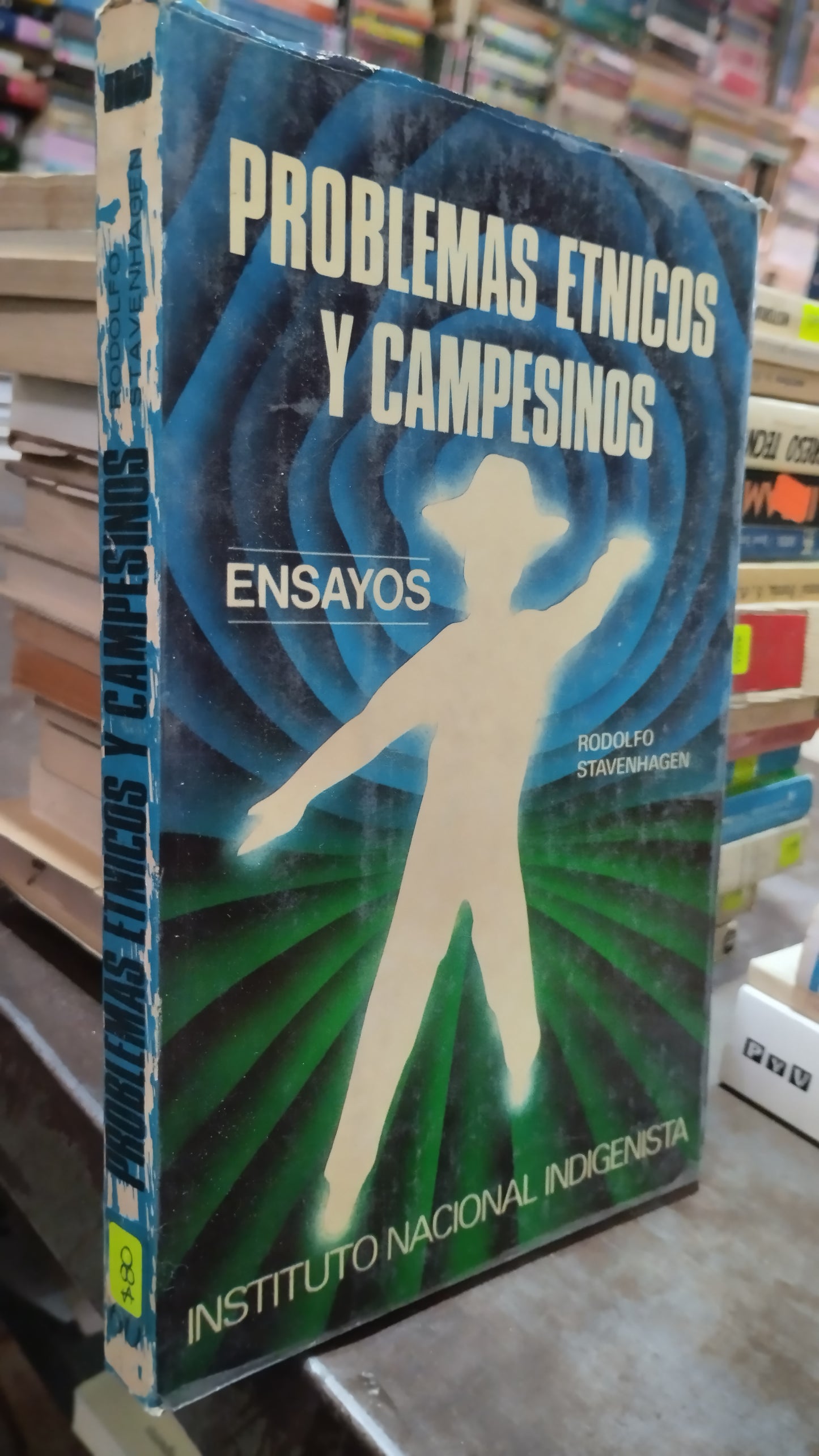 PROBLEMAS ETNICOS Y CAMPESINOS POR RODOLFO STAVENHAGEN LIBRO USADO SOCIOLOGIA ALDAMA