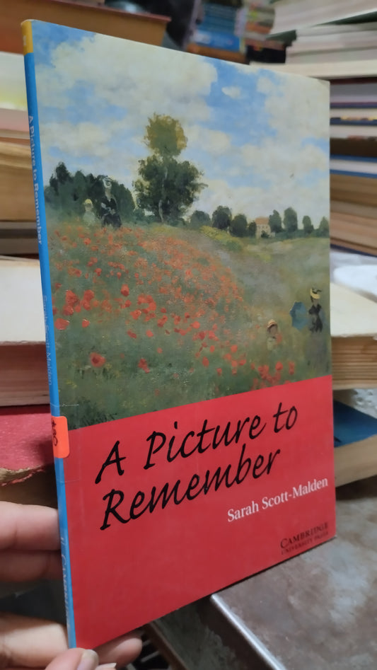 A PICTURE TO REMEMBER POR SARAH SCOTT MALDEN LIBRO USADO IDIOMAS ALDAMA