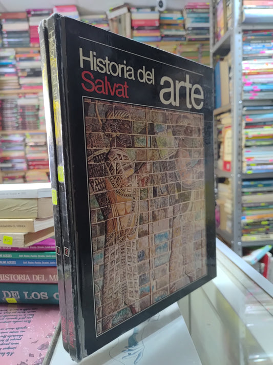 HISTORIA DEL ARTE POR EDITORIAL SALVAT USADO HISTORIA JUAREZ 507  2 TOMOS $50 C/U