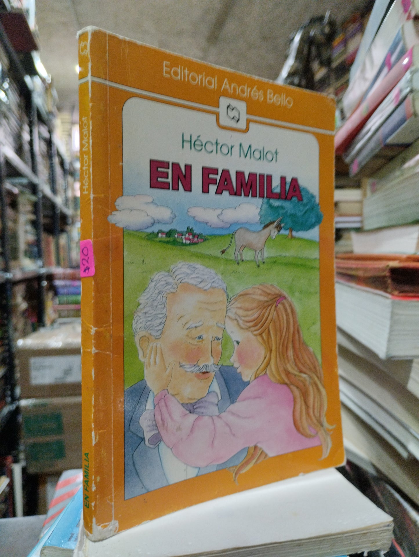 EN FAMILIA POR HECTOR MALOT USADO INFANTIL ALDAMA