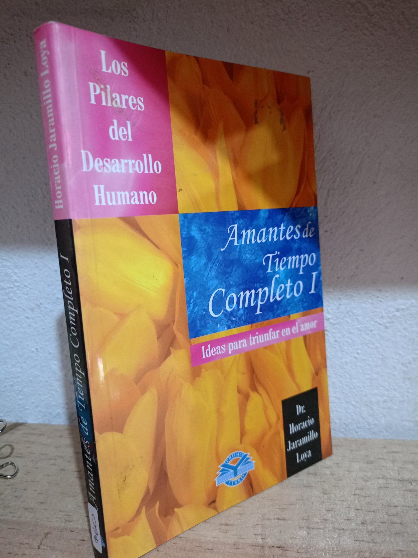 AMANTES DE TIEMPO COMPLETO USADO S.PERSONAL LITERARIO 305