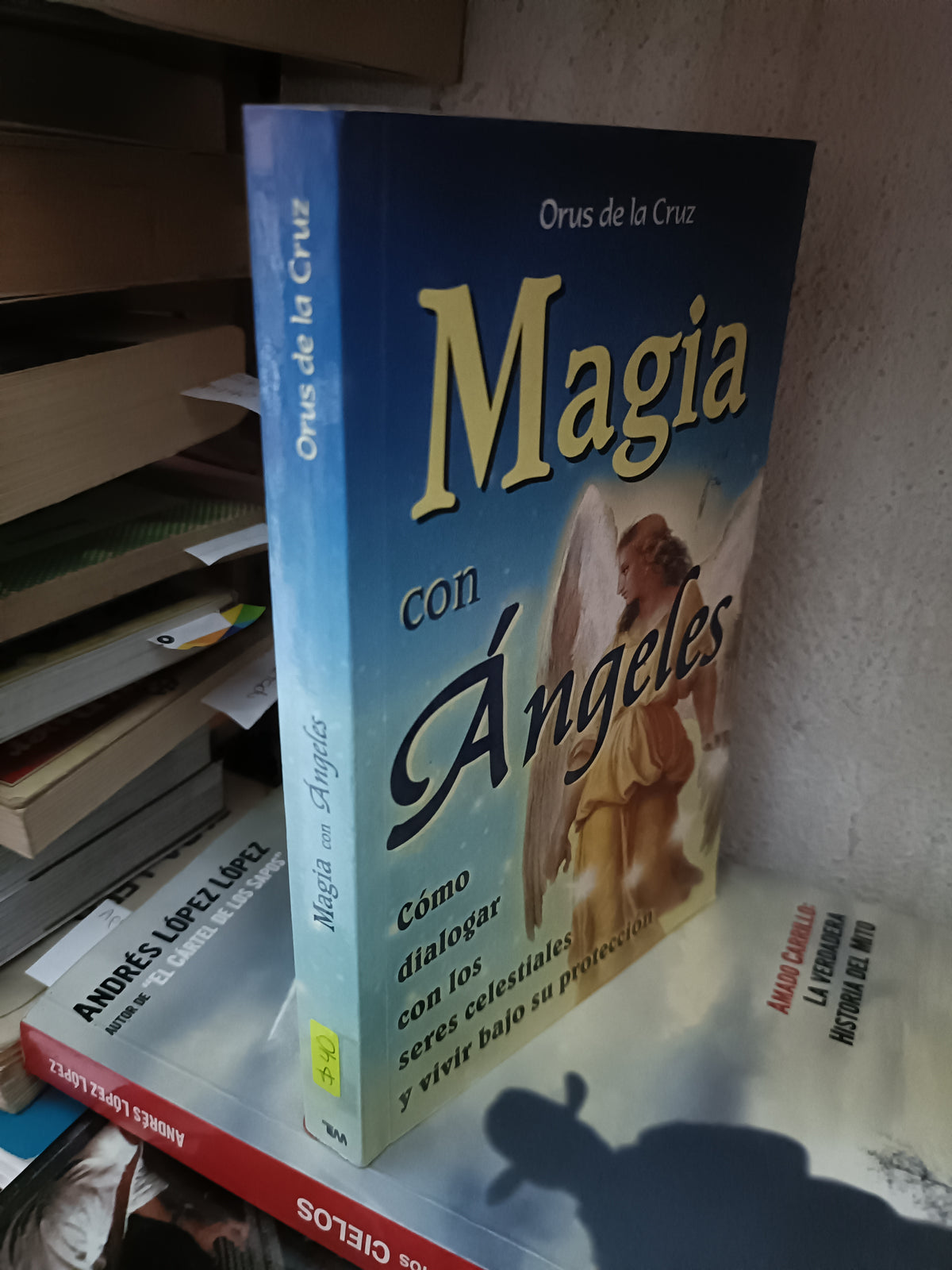 MAGIA CON ANGELES POR ORUS DE LA CRUZ USADO ESOTERISMO LITERARIO 305
