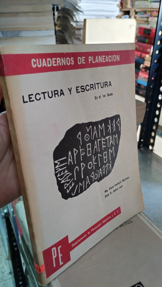 LECTURA Y ESCRITURA POR MARIA ELENA CARBAJAL MARTINEZ LIBRO USADO EDUCACIÓN ALDAMA