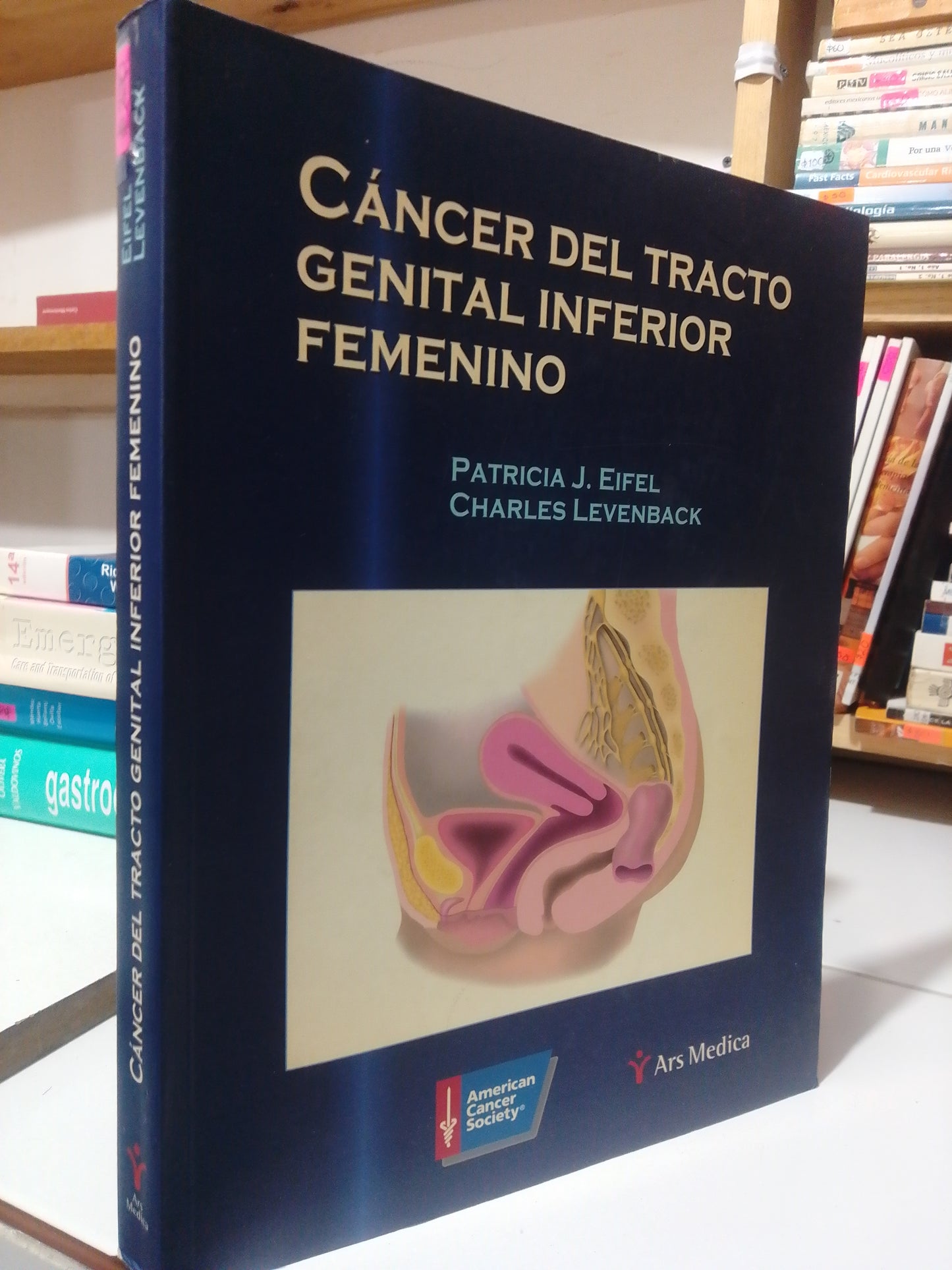 CANCER DEL TRACTO GENITAL INFERIOR FEMENINO POR PATRICIA J. EIFE , CHARLES LEVENBACK USADO SALUD JUAREZ