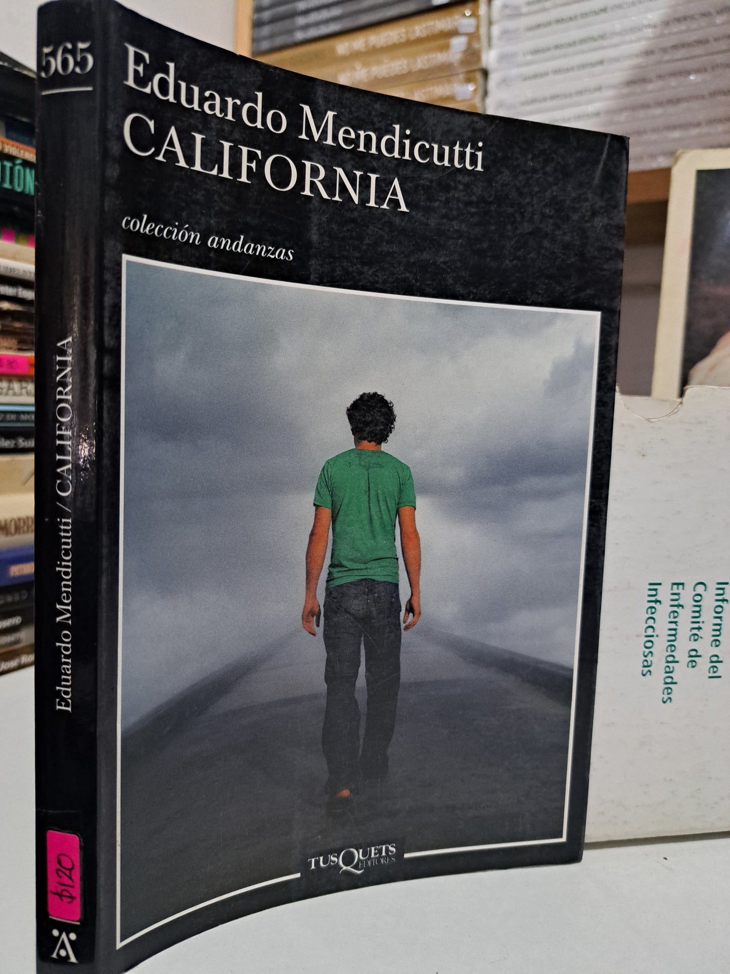 CALIFORNIA EDUARDO MENDICUTTI USADO NOVELA JUÁREZ