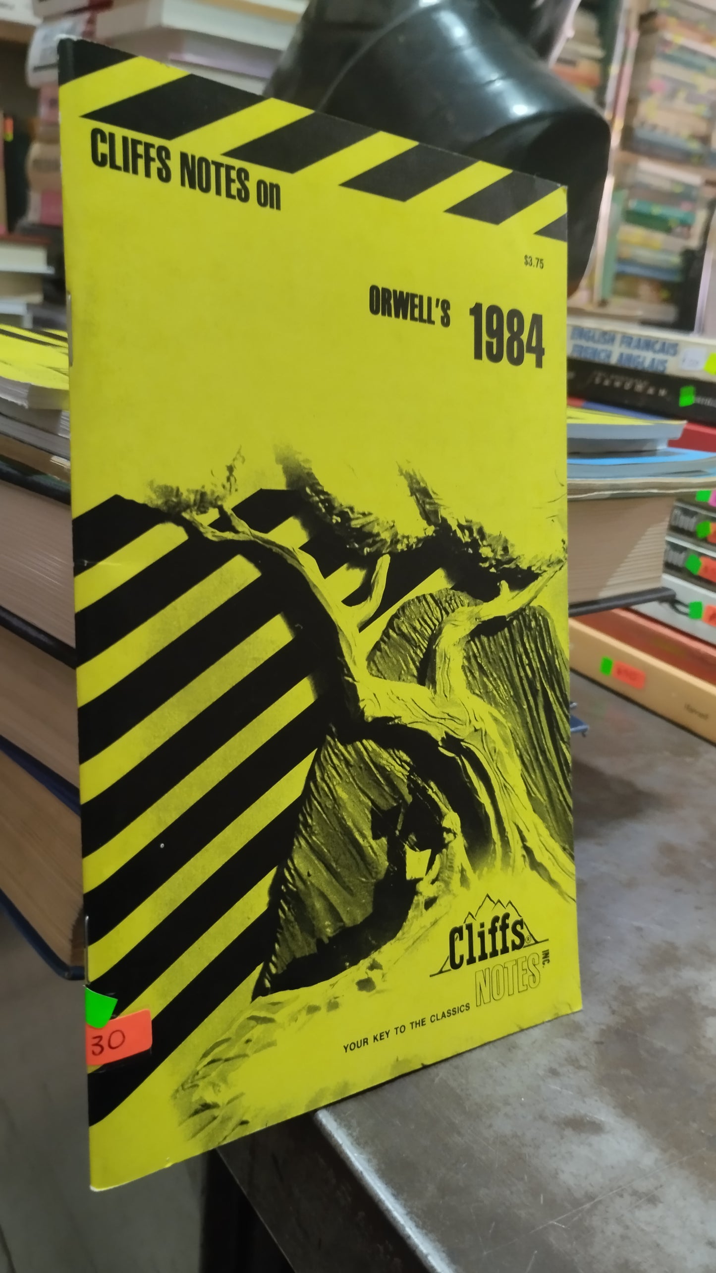 ORWELLS 1984 LIBRO USADO IDIOMAS ALDAMA