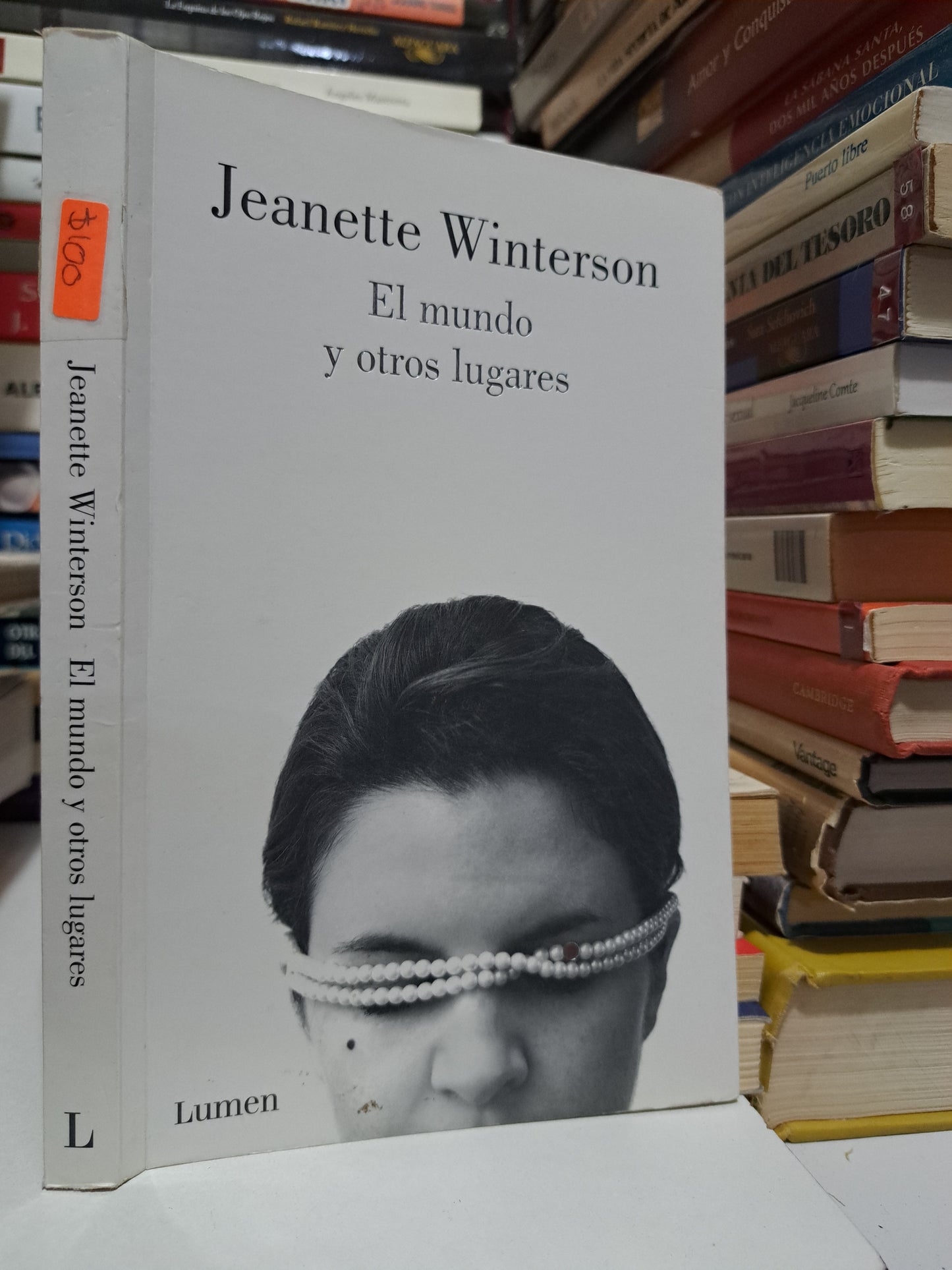 EL MUNDO Y OTROS LUGARES JEANETTE WINTERSON USADO NOVELA JUÁREZ