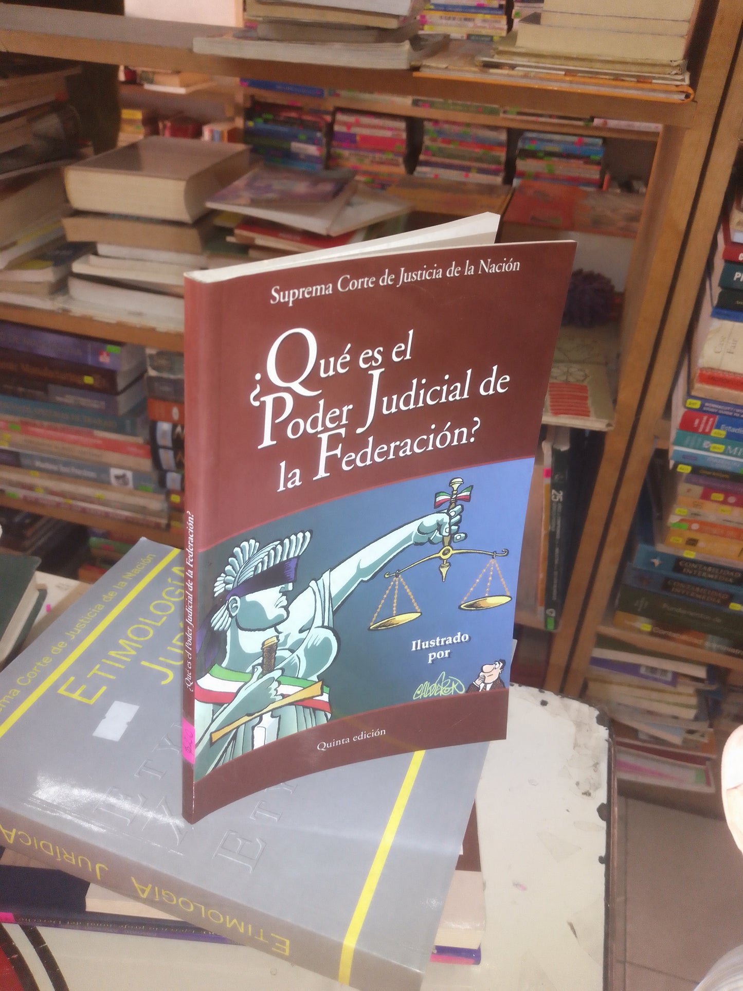 ¿QUÉ ES EL PODER JUDICIAL DE LA FEDERACIÓN? POR LA SUPREMA CORTE DE JUSTICIA DE LA NACIÓN USADO DERECHO LITERARIO 207