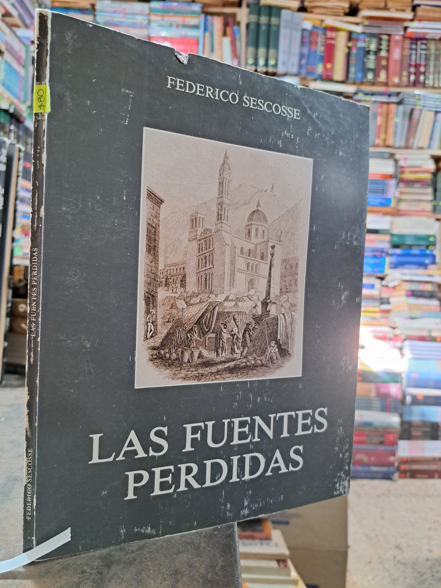 LAS FUENTES PERDIDAS FEDERICO SESCOSSE USADO HISTORIA ALDAMA