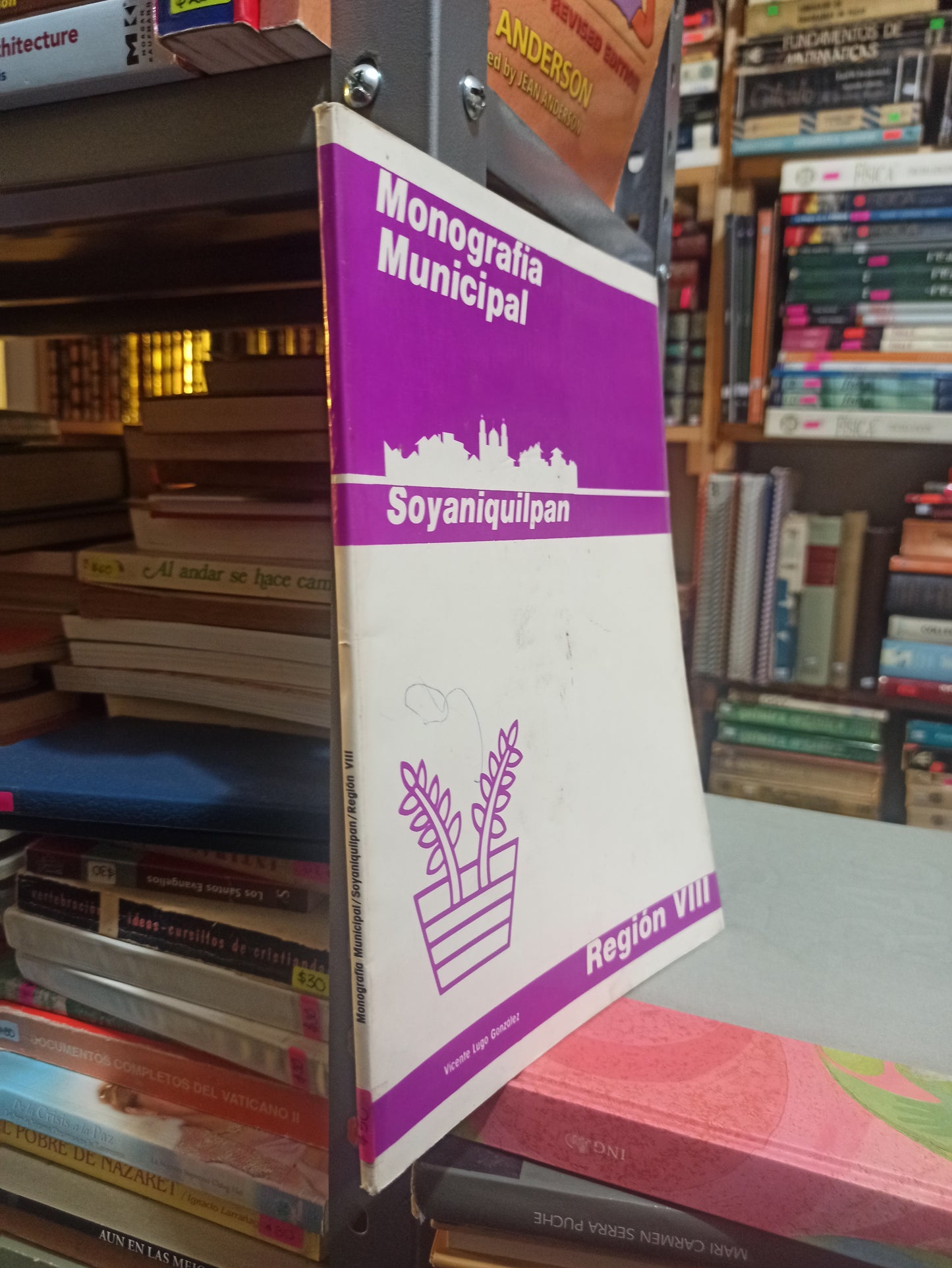 MONOGRAFIA MUNICIPAL SOYANIQUILPAN POR VICENTE LUGO GONZALES USADO EDOMEX JUÁREZ