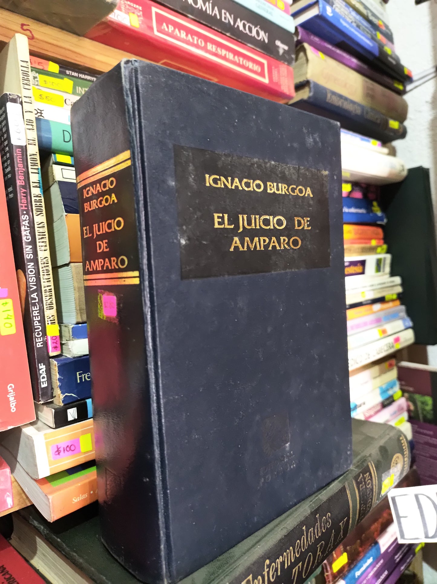 EL JUICIO DE AMPARO POR IGNACIO BURGOA USADO DERECHO LITERARIO 305