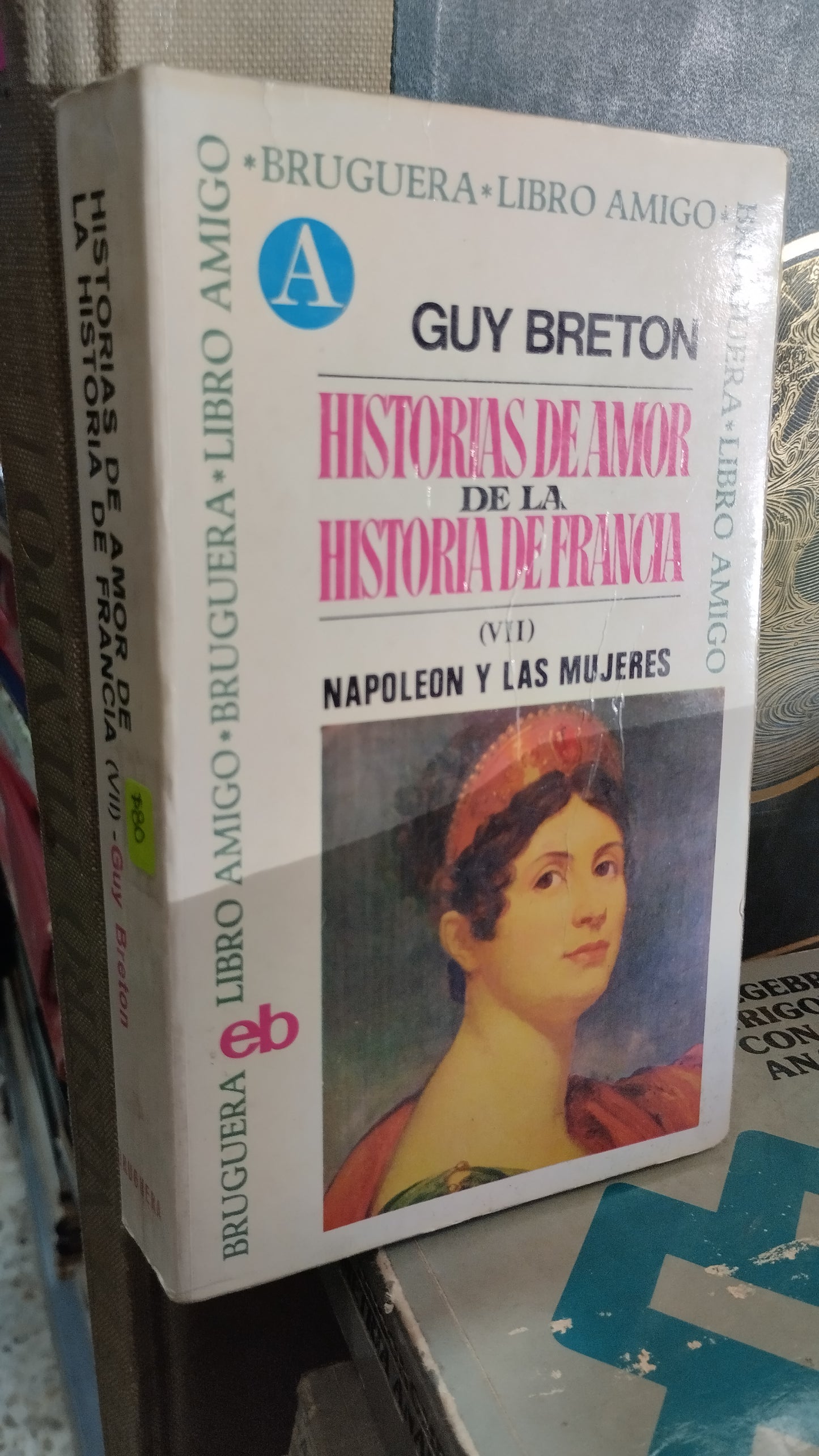 HISTORIAS DE AMOR DE LA HISTORIA FRANCESA VII POR GUY BETRON LIBRO USADO NOVELAS ALDAMA