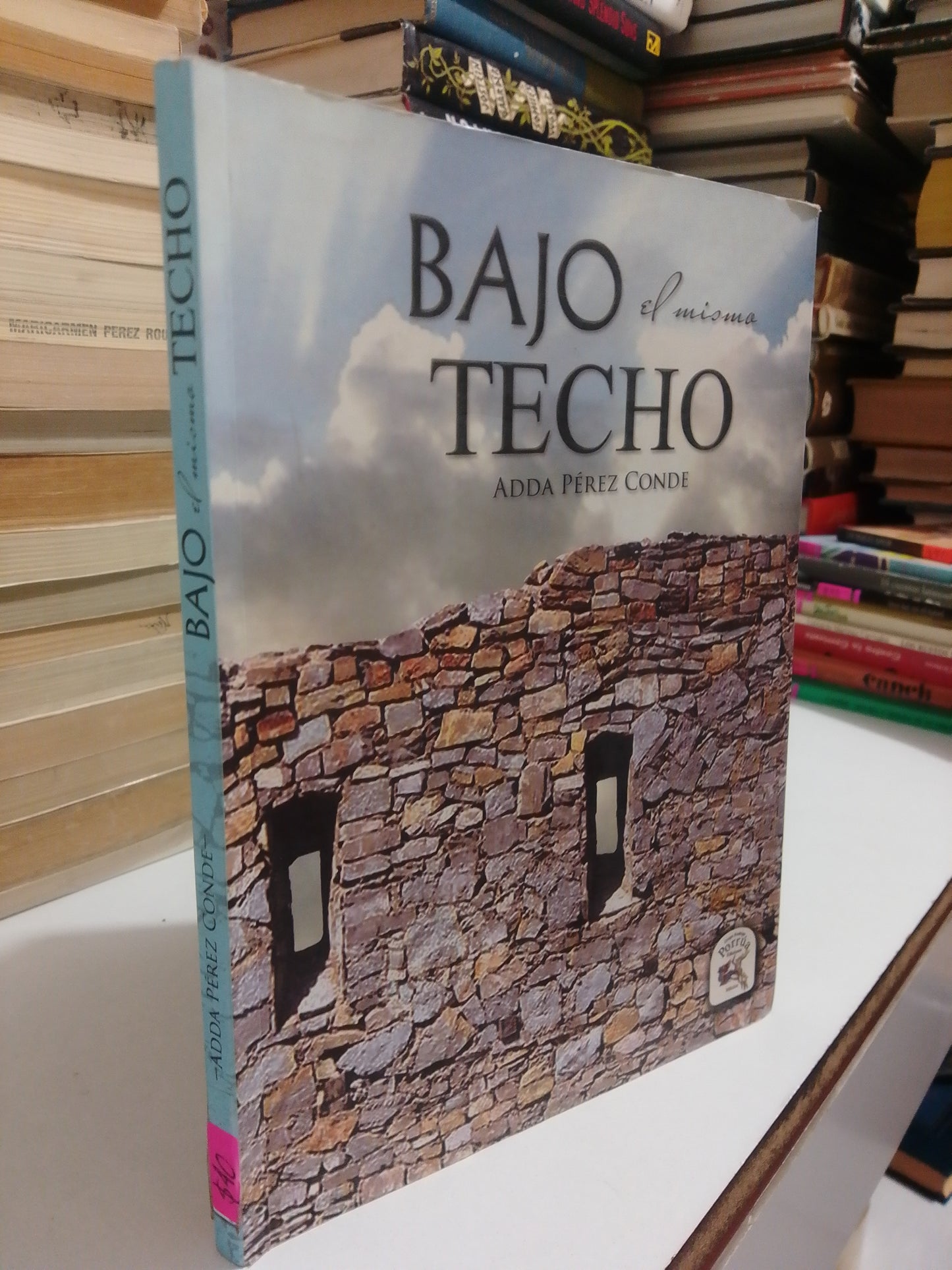BAJO EL MISMO TECHO POR ADDA PÉREZ CONDE USADO NOVELA JUÁREZ