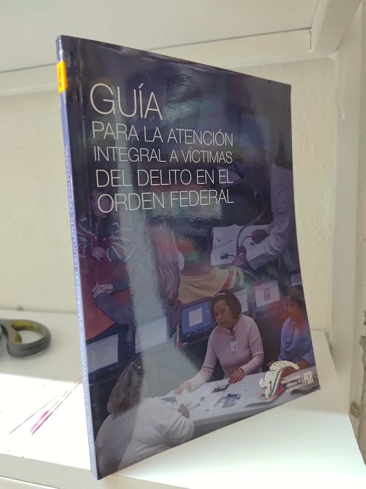 GUIA PARA LA ATENCION INTEGRAL A VICTIMAS DEL DELITO EN EL ORDEN FEDERAL POR LA PGR USADO DERECHO JUAREZ 515