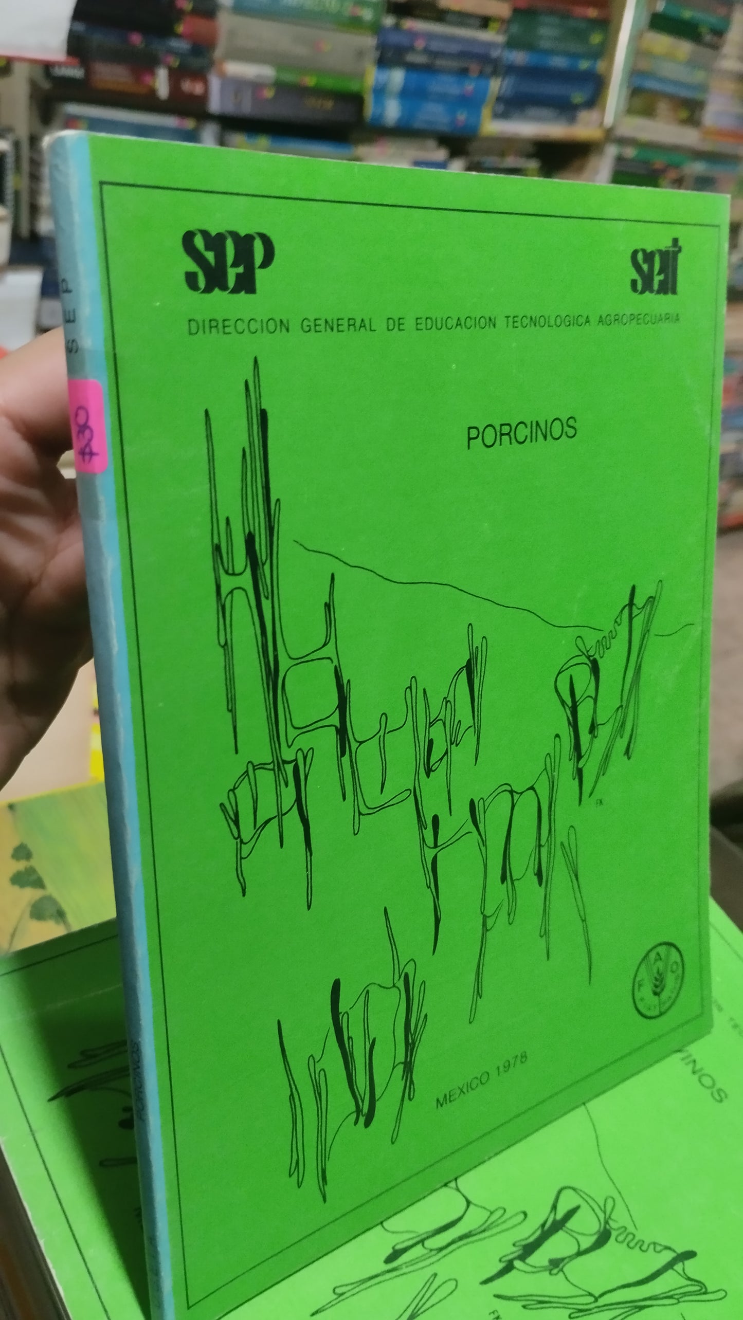 PORCINOS LIBRO USADO AGRICULTURA ALDAMA