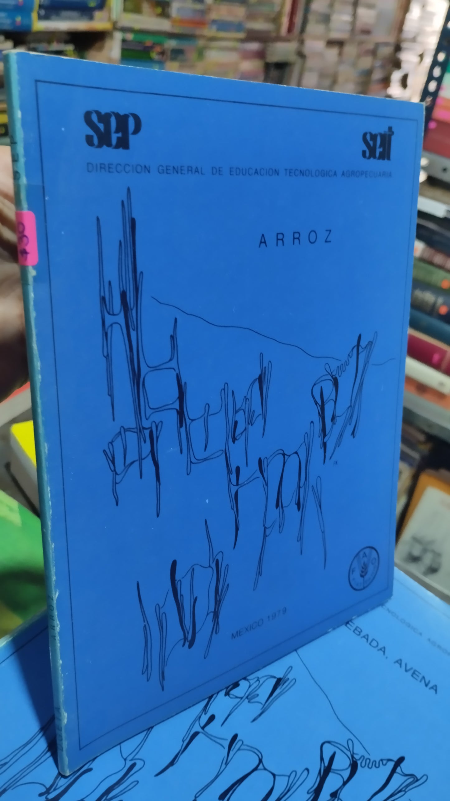 ARROZ LIBRO USADO AGRICULTURA ALDAMA