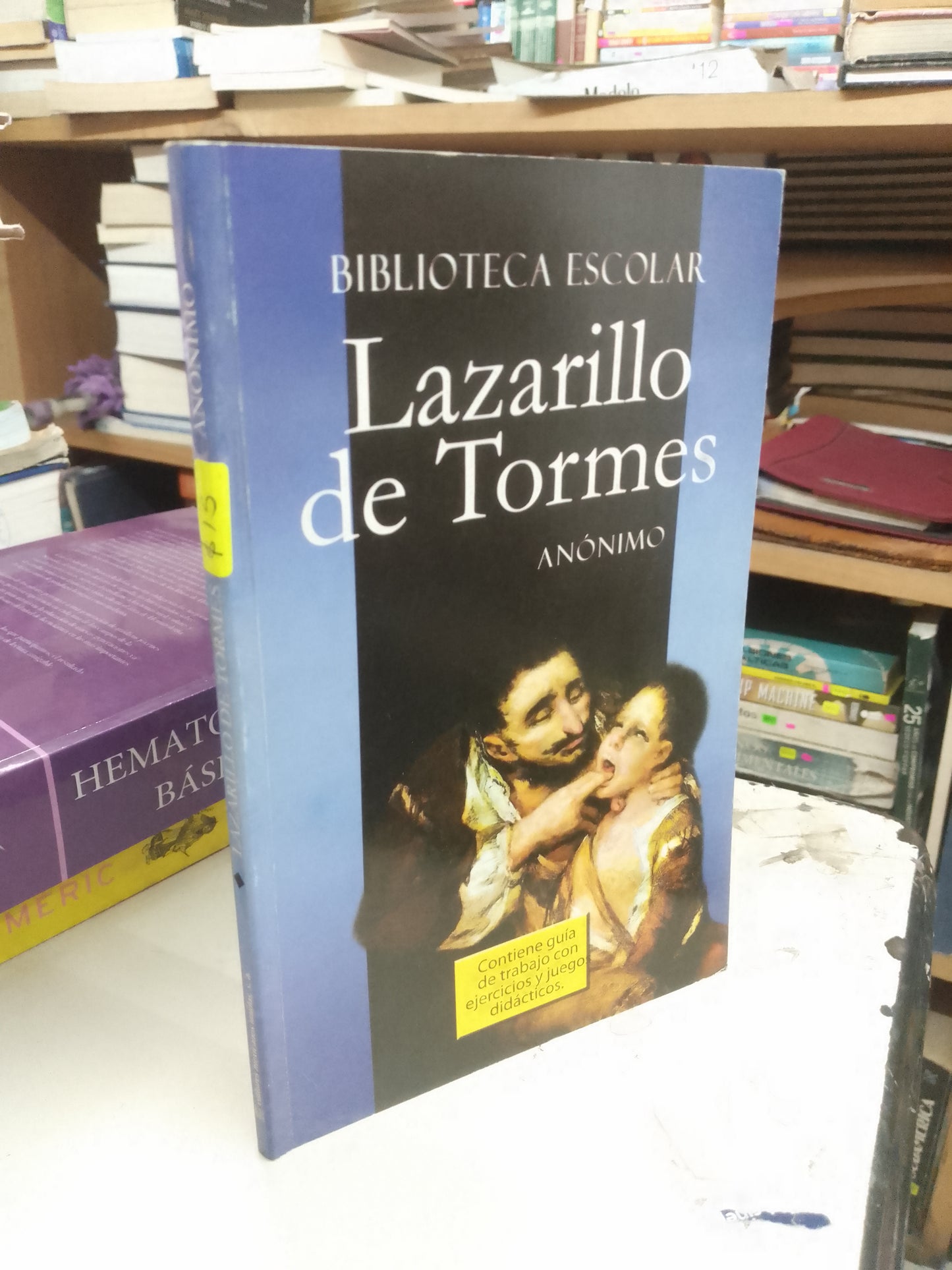 LAZARILLO DE TORMES USADO NOVELA LITERARIO 207